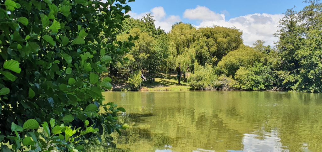 Parc accrobranche